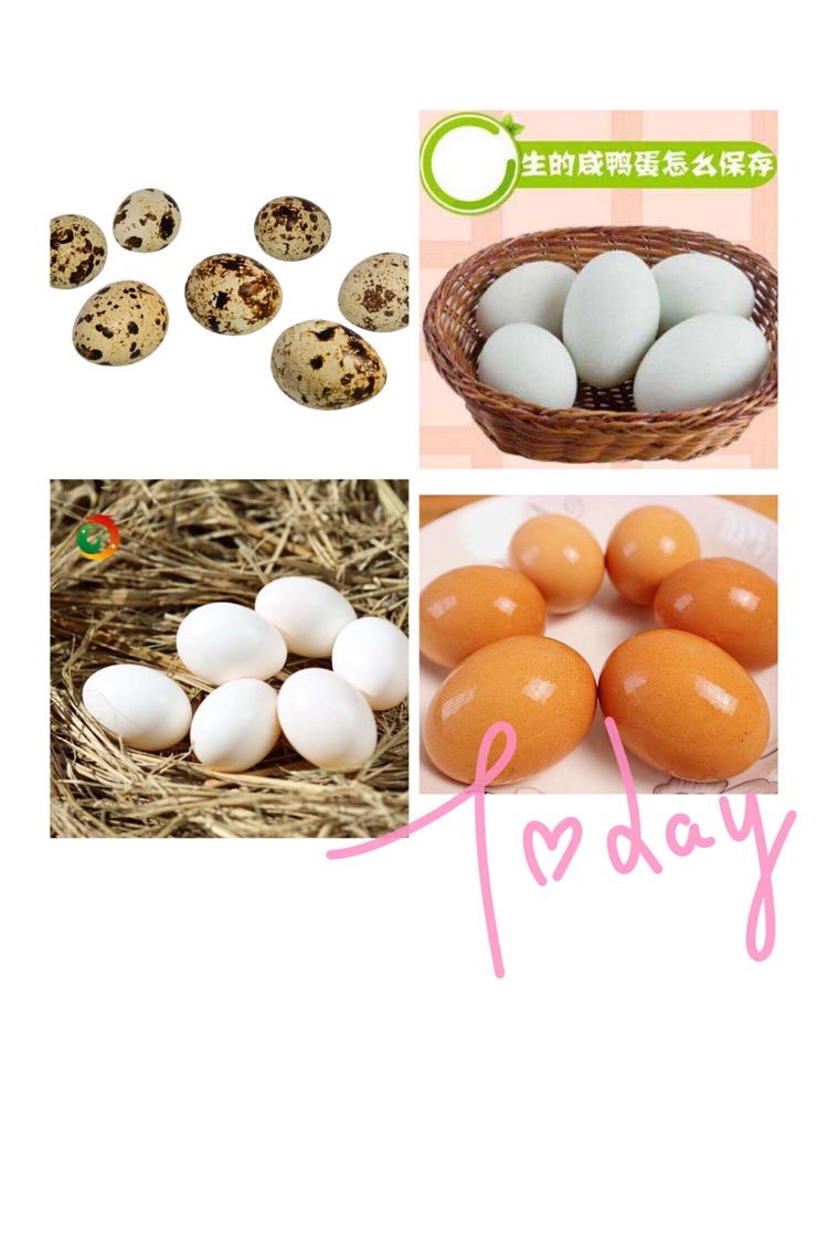 1139ce2dddb3484bb0a24a4f03acc8a9.Jpeg