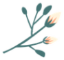 5019b9a829824448963b6359191e43d1.Png