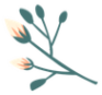fc4d451b9af74b18bf618ea2f011c44f.Png