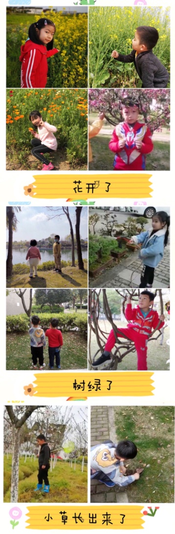a067a2d12410474d8e236f29c0490a49.Jpeg