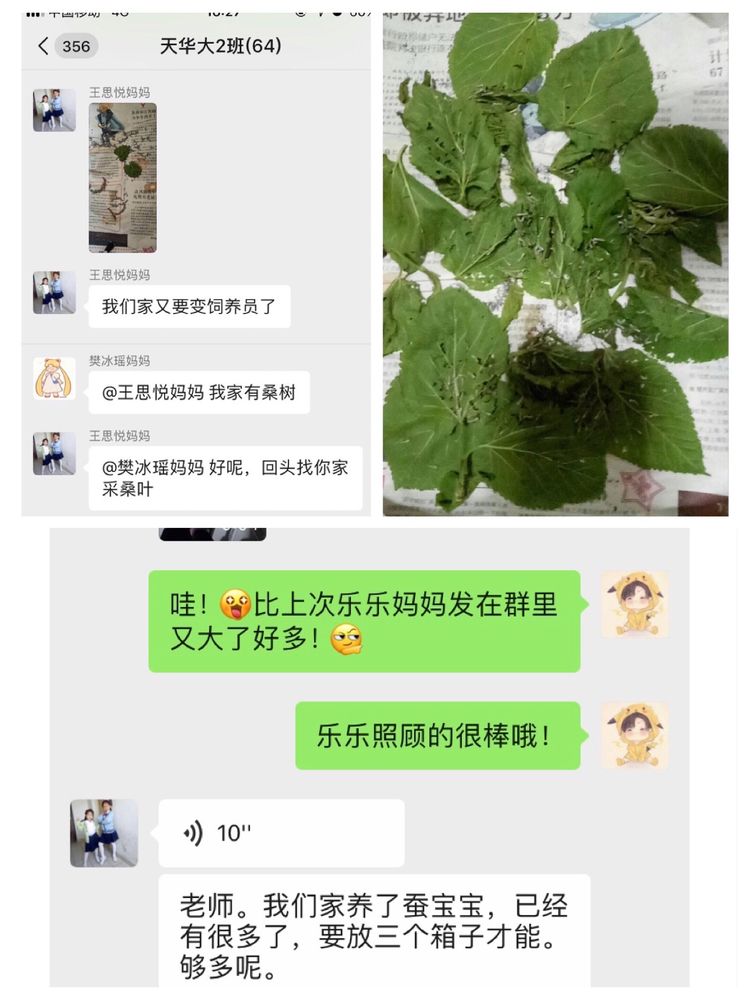 c6f1a27e94294a83a1f65a1e1f8d78fc.Jpeg