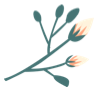 cf048b6d666940e58ef26315679ffb42.Png