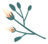 e40d0da975fc46ed943af400b69f6214.Png