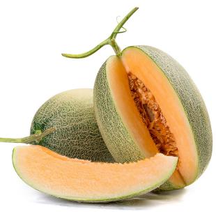 caf63b3299604c958dedd18ddf753df6.Jpeg