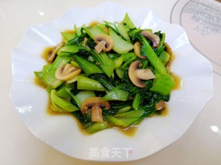 d8397d95aa33439ea24ddcf7fe95cc1a.Jpeg