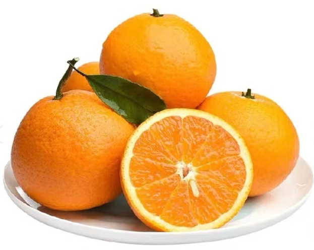 04e1dd2a41e54e15a8f85c4c7a86bc4b.png